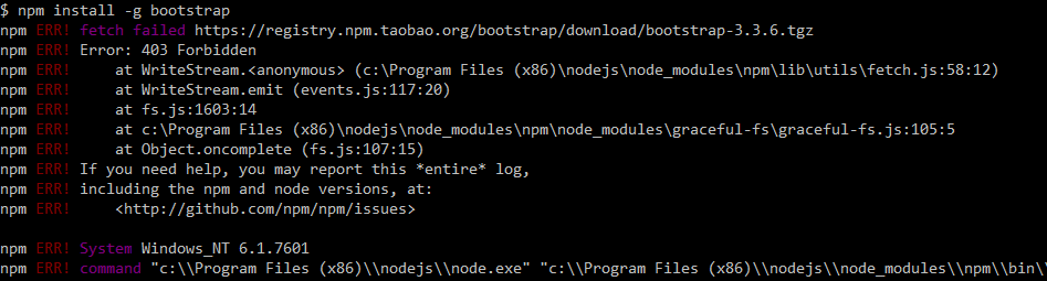 npm install error